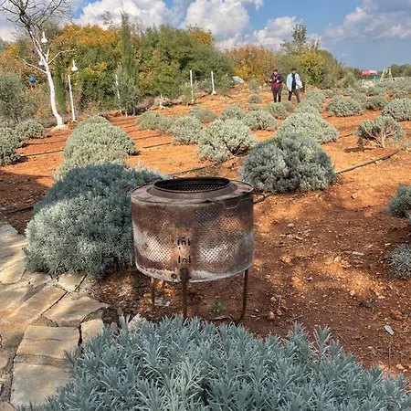 Tinyhouse דירה *